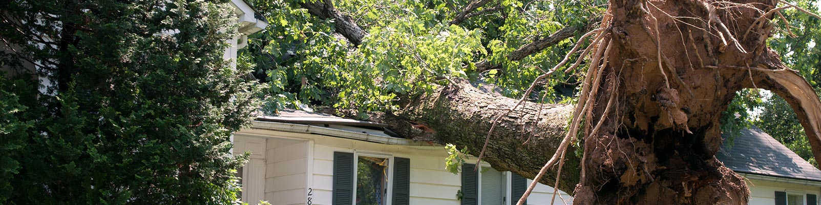 Wind damage banner