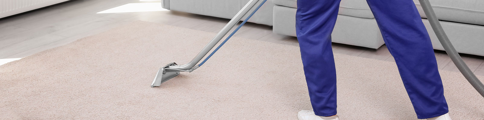 How Often Should You Clean Your Carpets Banners