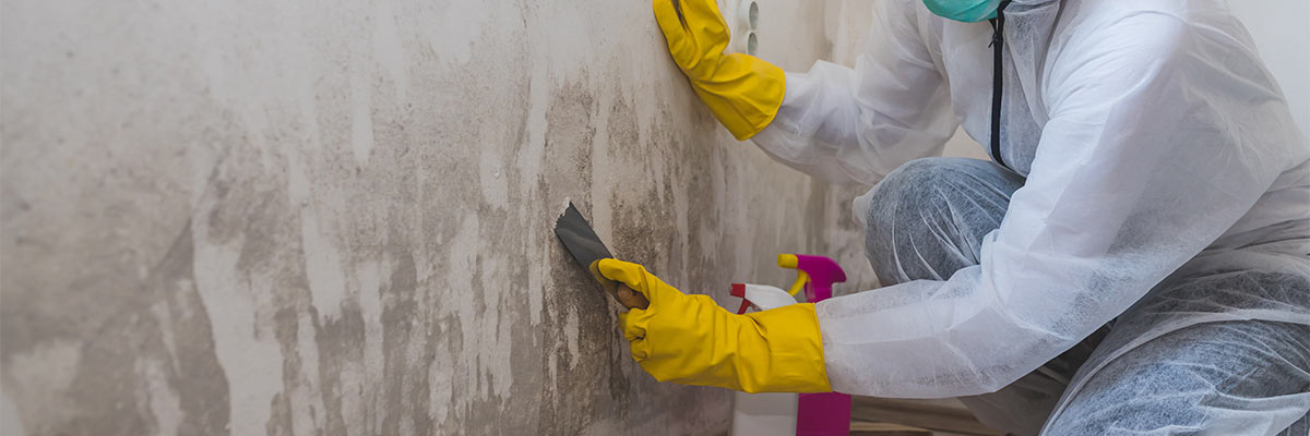 Mold remediation