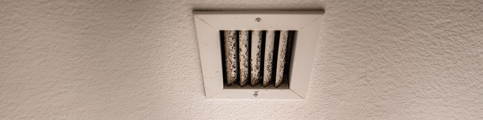 Signs of Mold in Air Ducts Banners