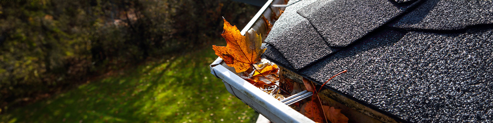 Spring Cleaning and Fixing your Rain Gutters