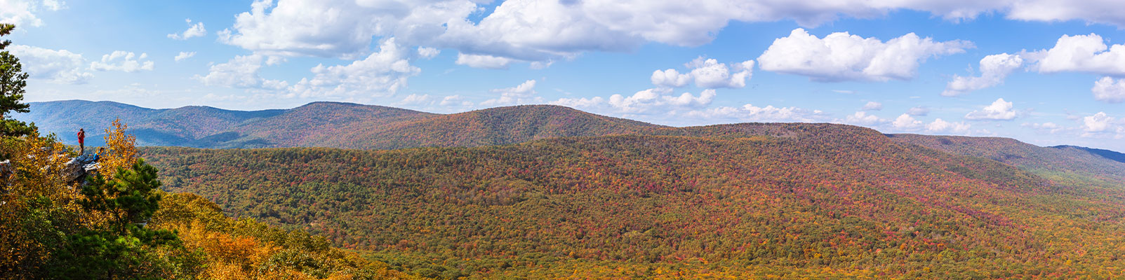 West Virginia Emergency Resources