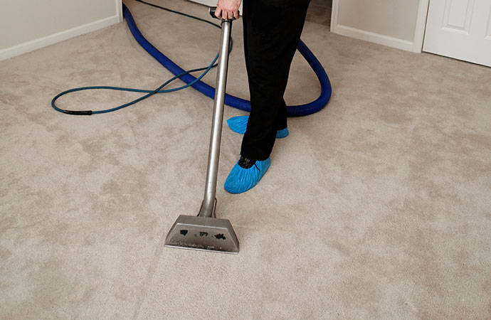 A professional maid cleaning a carpet