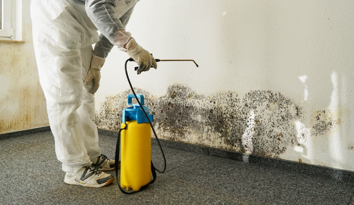 Mold remediation