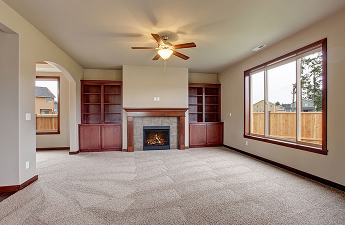 Professional Carpet Cleaning Services