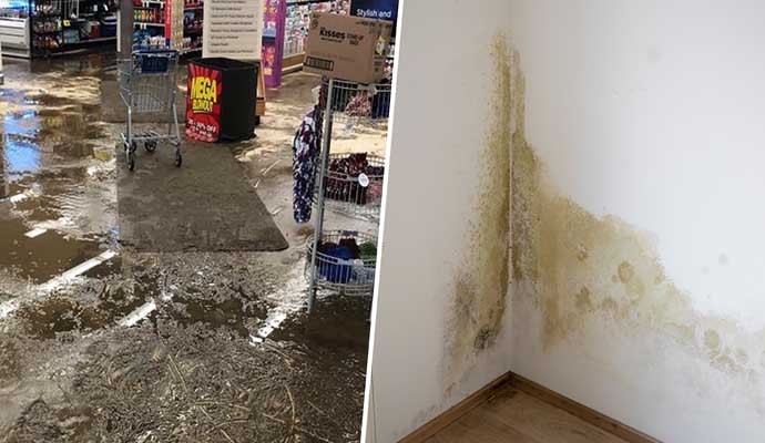 Collage of water and mold damage