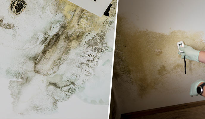 Collage of mold on the ceiling and wall