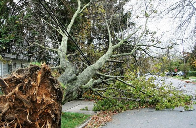 Commercial Storm Damage Restoration