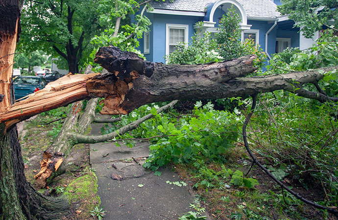 Storm Damage