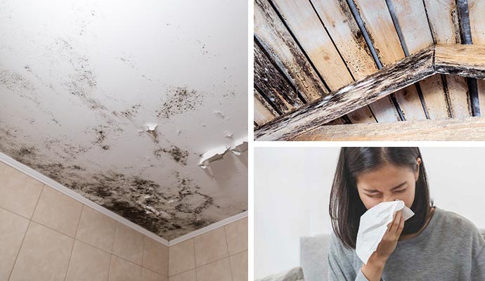 Collage of damaged ceiling, drywall and woman sneezing due to allergies Collage of damaged ceiling, drywall and woman sneezing due to allergies