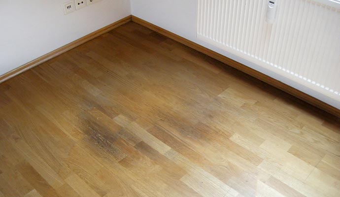 Floor damaged by mold growth