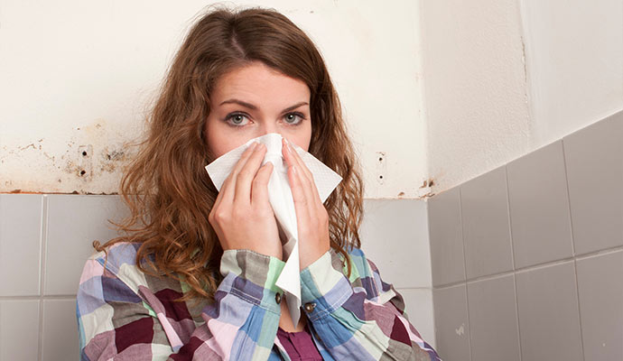 Allergy effect because of mold growth