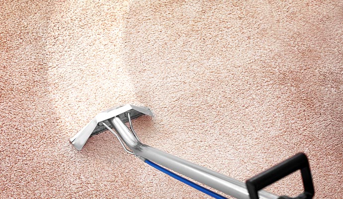 Carpet cleaning