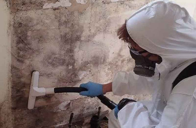 Mold Remediation
          