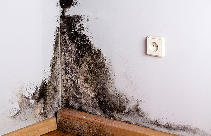 Signs of Mold