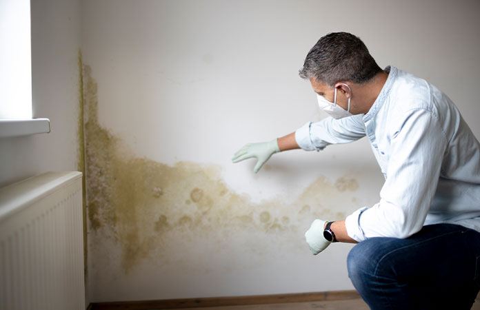 Signs of Mold