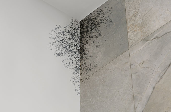 Remodeling Your Bathroom? Check For Mold! | Panhandle