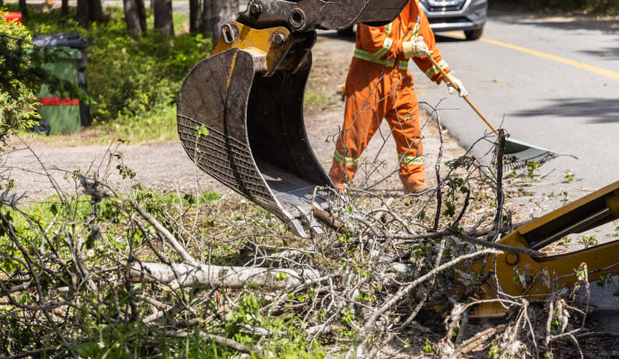 debris removal from property