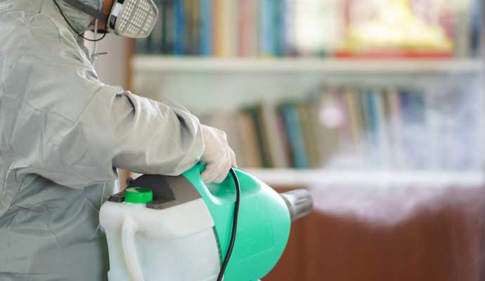 Professional worker disinfecting surface