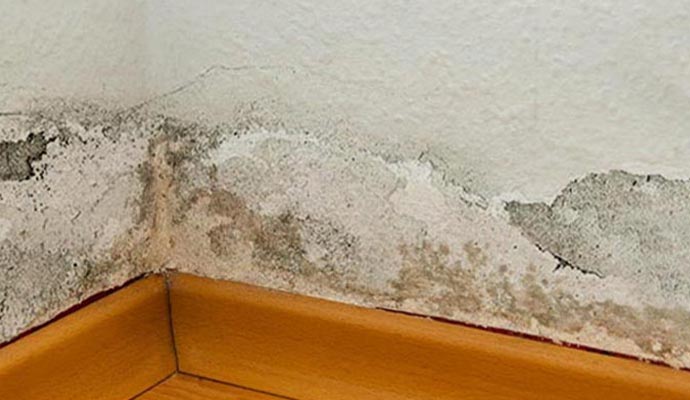 Damaged drywall