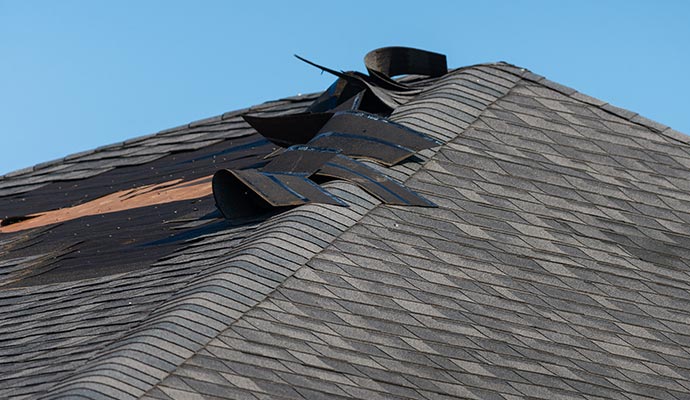 Damaged roof shingles