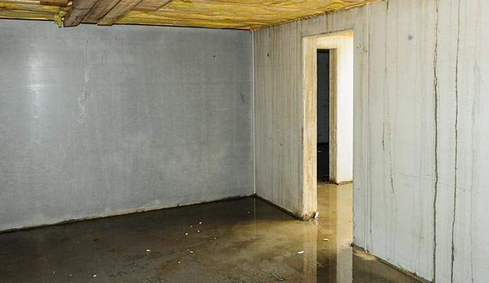 Flooded home basement