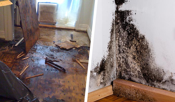 Collage of floor damage and moldy wall