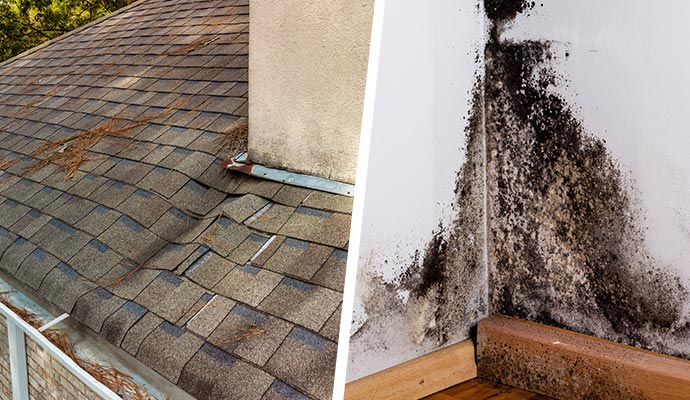 Collage of roof and mold structural damage