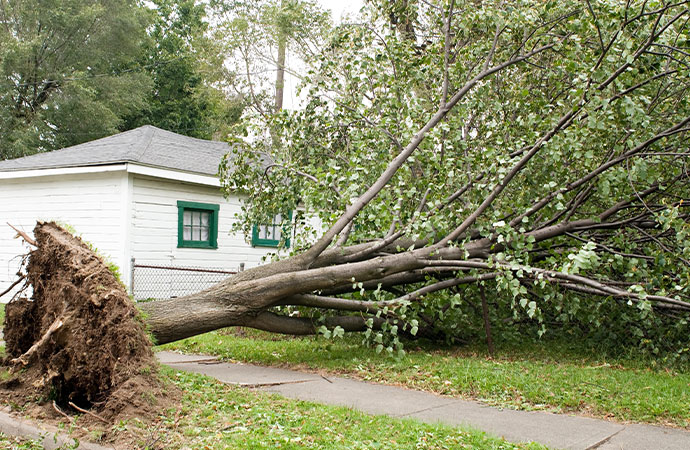 Strong Winds