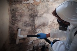 Mold remediation experts - Panhandle Cleaning & Restoration